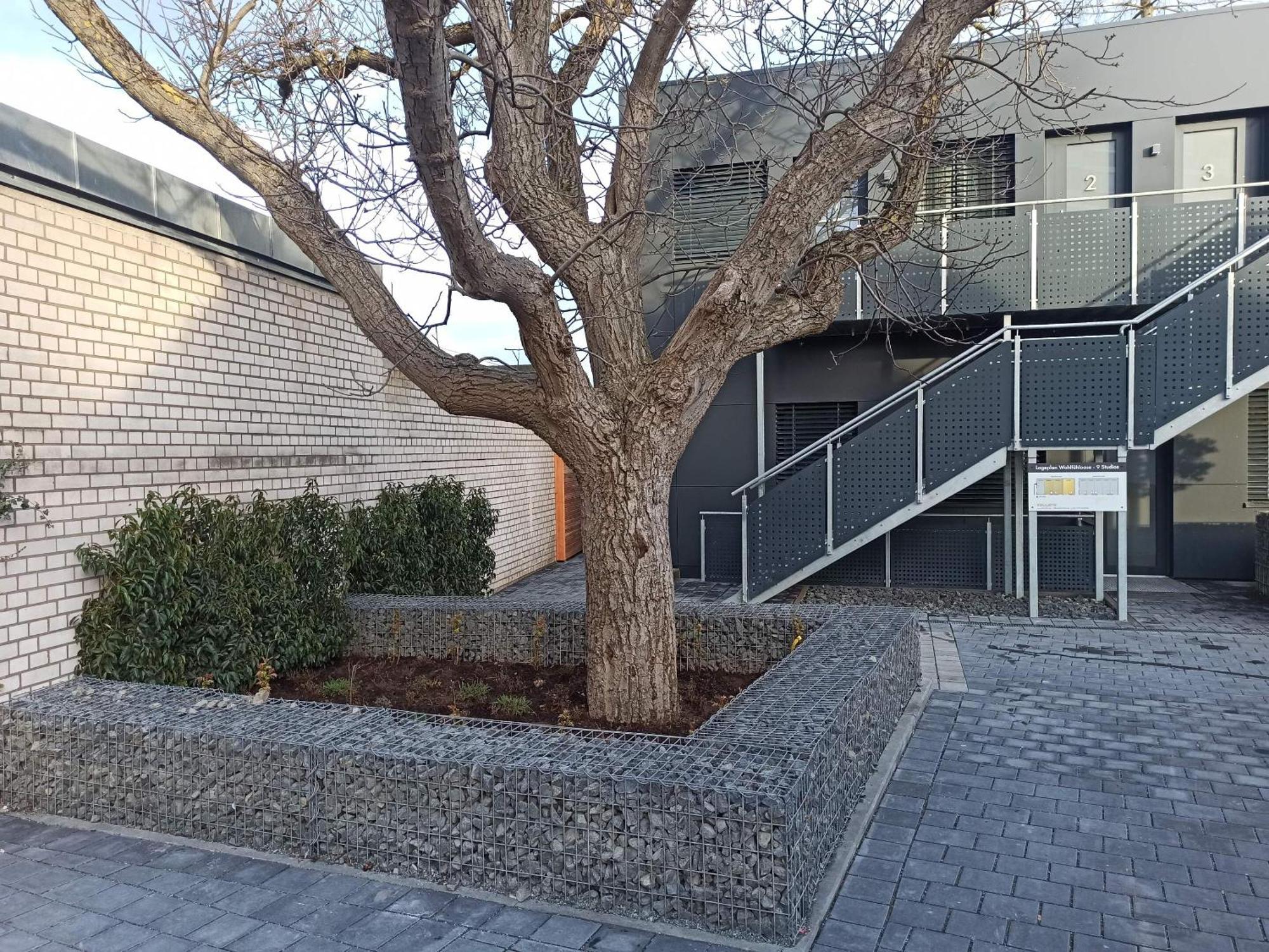 Xzllenz Traum Studio-Apartment, Frei-Parken, U-Bahn, Kueche Nürnberg Eksteriør billede